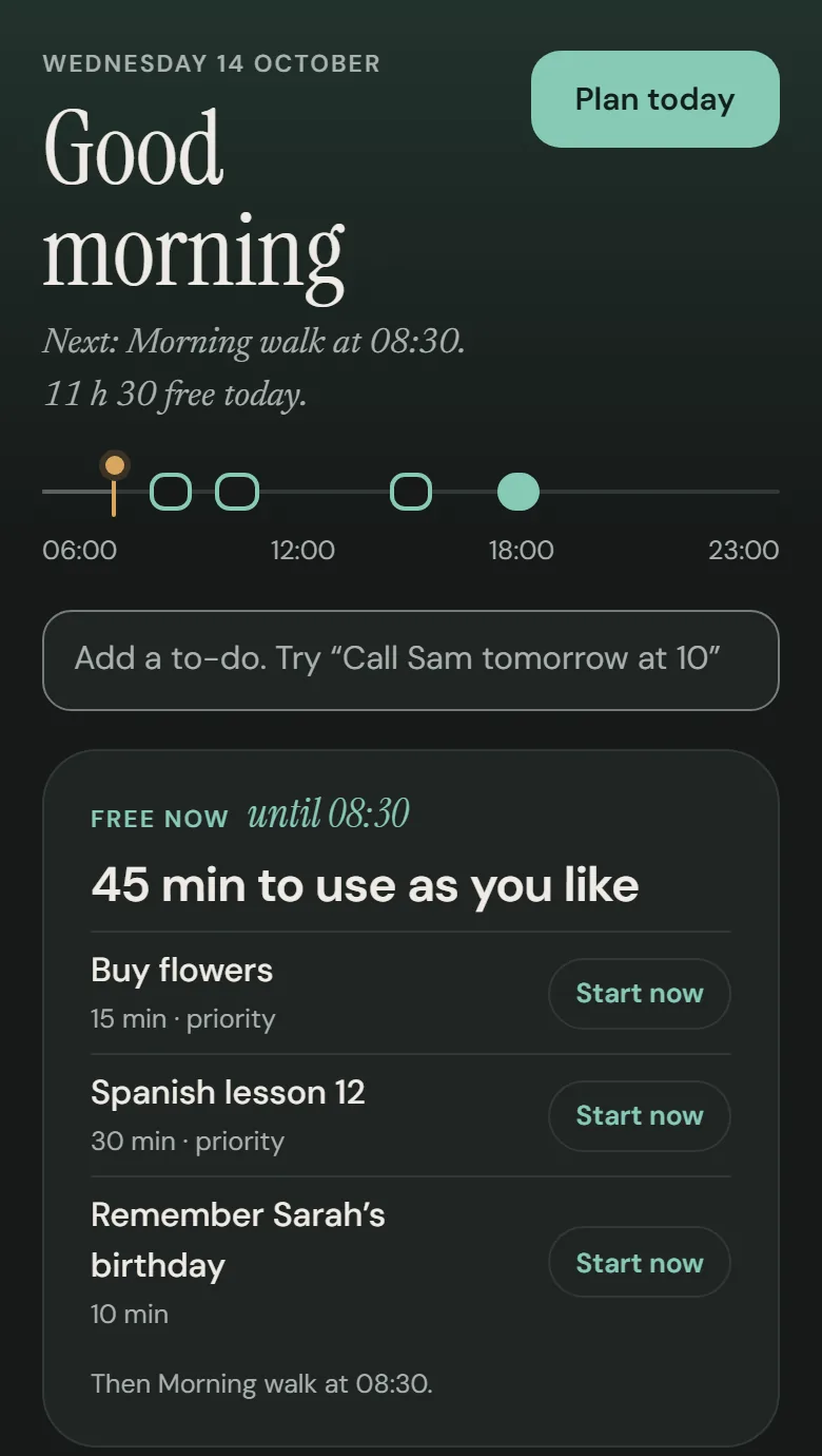 Daysli’s Today on a phone: a morning walk, a project meeting, a call with Mum, flowers to buy.