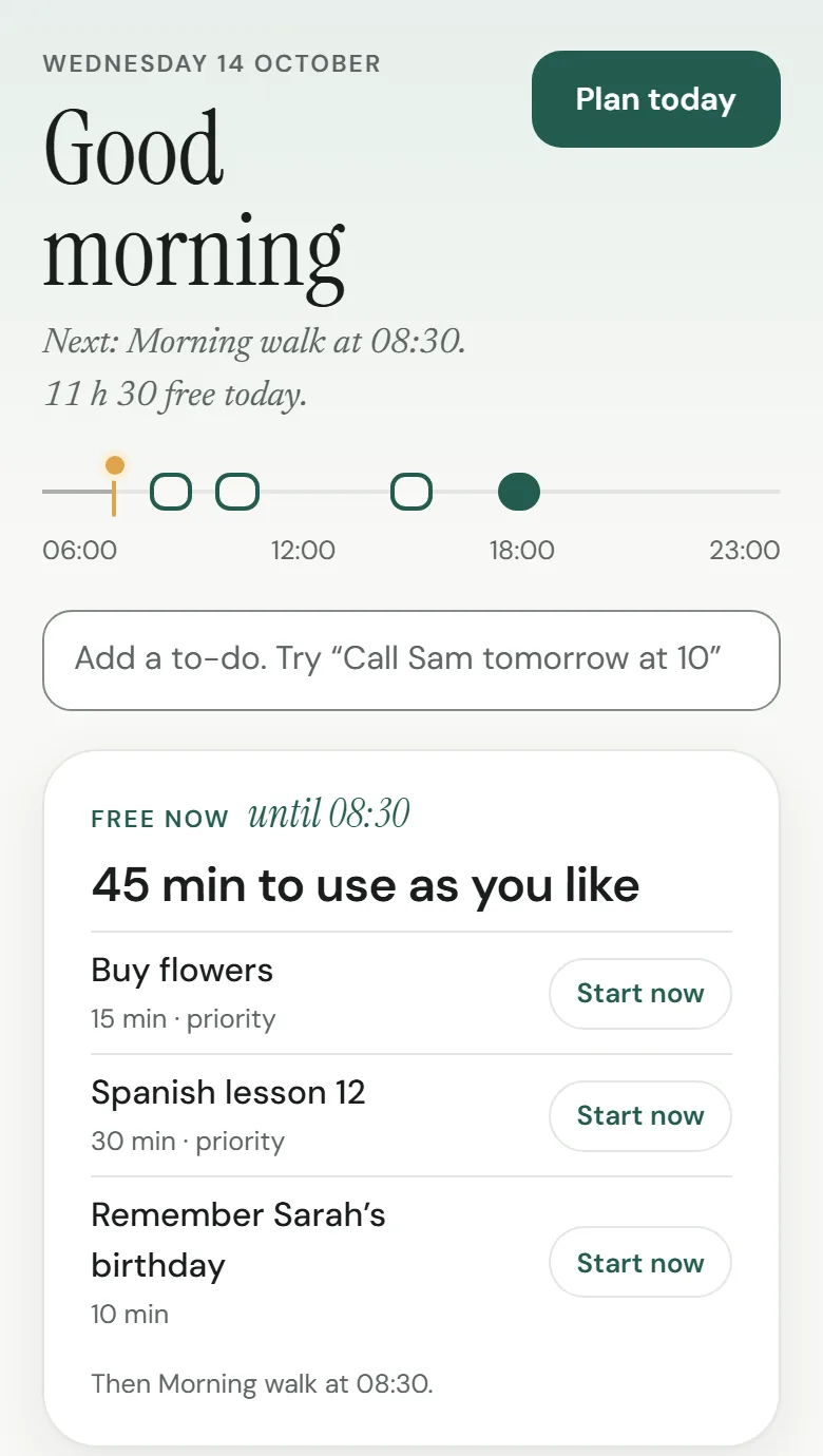 Daysli’s Today on a phone: a morning walk, a project meeting, a call with Mum, flowers to buy.